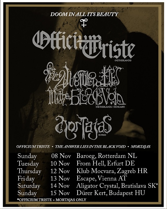 DoomInAllItsBeauty POSTER web